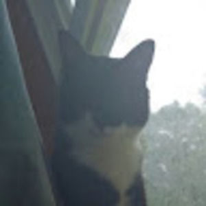 Meet your Posher, Genevieve